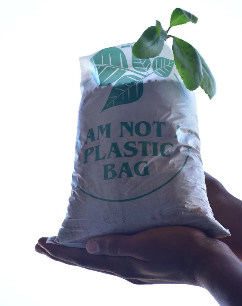 Why biodegradable plastic bags might be the future of sustainability