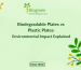 biogreentable plates