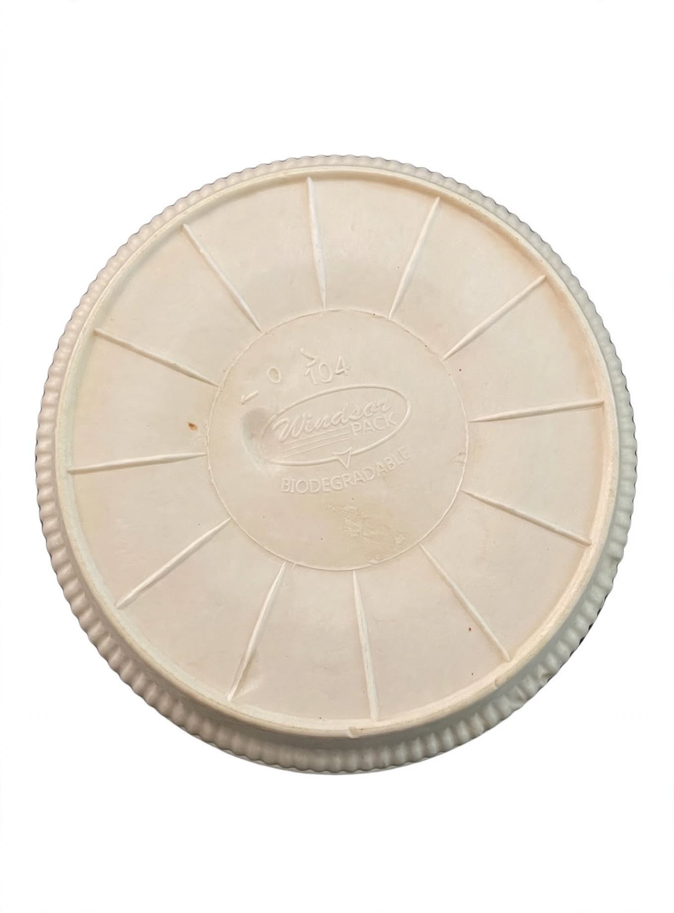 biodegradable_container_flat_lay